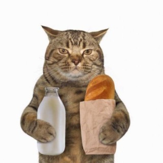 Telegram profile photo for neVSEscam
