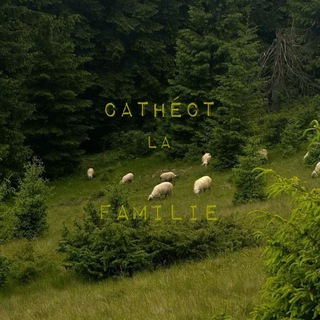 Telegram profile photo for Archivio Della Memoria: Cathéct