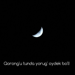 Telegram profile photo for MAʼNOLI IQTIBOSLAR