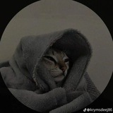 Telegram profile photo for ๐๐๐ ๐๐๐๐๐ ๐
๐๐๐โค