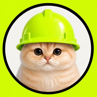 Telegram profile photo for RobinhoodCat | $RHCAT