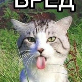 Telegram profile photo for Снова AlgorithmLX
