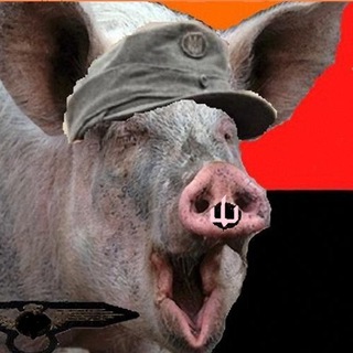 Telegram profile photo for Говорящие головы нЭзалЭжной