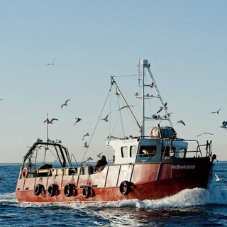 Telegram group profile photo for Териберка - морские прогулки, рыбалка, киты на "Весёлом ветре" +79212718787