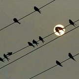 Telegram profile photo for Штиль на море