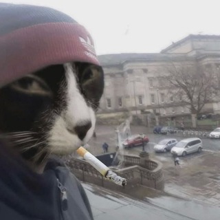 Telegram profile photo for СЫЧ?! аааа, а я думала камера