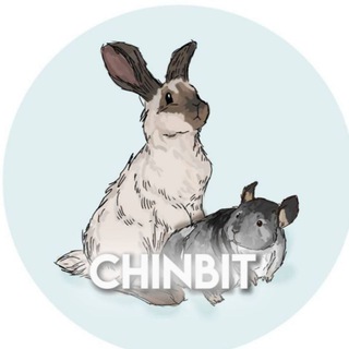 Telegram profile photo for 🍃𝐂𝐡𝐢𝐧𝐛𝐢𝐭s💨