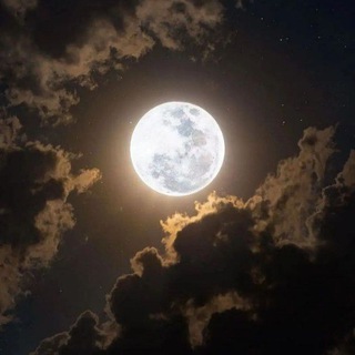 Telegram profile photo for دُعَاءْ بُوذَهَبْ.