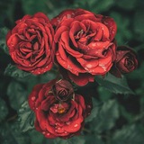 Telegram profile photo for #اطمئنان..❤
