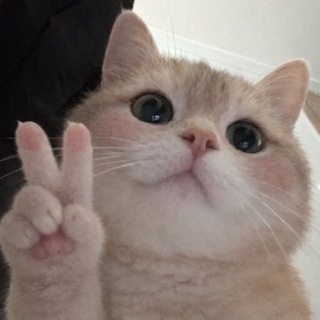 Telegram profile photo for 🌸Котяткин дом🌸