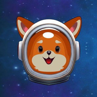 Telegram profile photo for RocketDoge portal