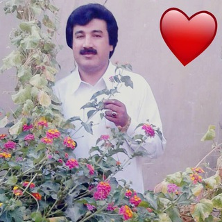 Telegram profile photo for کانال رسمی شاعر خدانظربلوچ