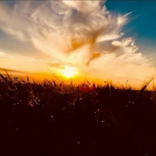 Telegram profile photo for حكاية أمل❤️