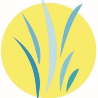 Telegram profile photo for Dr. Kelley Reis