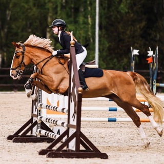 Telegram profile photo for Конкур с Рыжей ⚡️