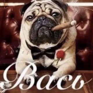 Telegram profile photo for вася греки
