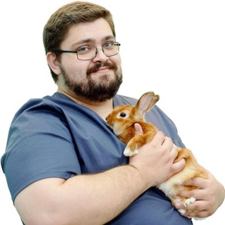 Telegram profile photo for Ветеринарная клиника БублВет. Ветеринарная помощь в Орехово - Зуевском районе и Раменском.