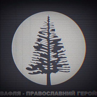 Telegram profile photo for Турівградська кіностудія