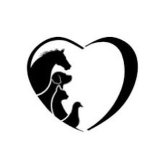 Telegram profile photo for Animal Protection Kazakhstan