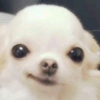 Telegram profile photo for Decka commissions | портфолио