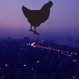 Telegram profile photo for # 𝟐𝟔 𝙍𝙪𝙙𝙮 𝙛𝙡𝓞𝓞𝙙 // 𝙘𝙝𝙖𝙣𝙣𝙚𝙡