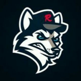 Telegram profile photo for اثباتات بوت تمويل (السريع) ➕