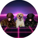 Telegram profile photo for Info-Kanal-neue-Projekte