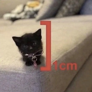Telegram profile photo for Пристанище Редиса