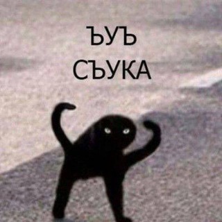 Telegram profile photo for Выкрики из зала