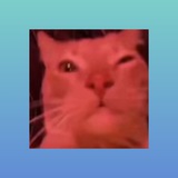 Telegram profile photo for Ну а че