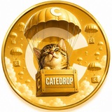 Telegram profile photo for CATEDROP
