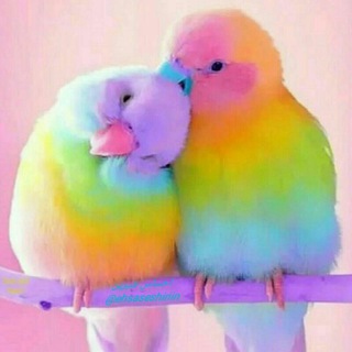 Telegram profile photo for کلبه دنج💖
