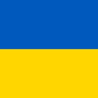 Telegram profile photo for Ukraine Videos GER (18+)