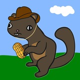 Telegram profile photo for $RETARDIO PNUT ENTRY