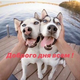 Telegram profile photo for УВЛ Кировского района