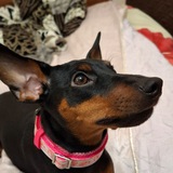Telegram profile photo for Копилка ️