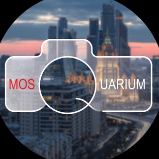 Telegram profile photo for Mosquarium