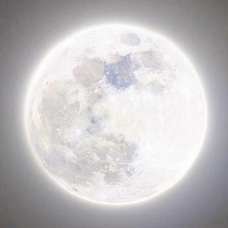 Telegram profile photo for 、𝖸𝗈𝗎𝗋 𝗅𝗈𝗏𝖾! ♯𝖲𝗌𝗁.𝖼𝗈𝗇𝖿