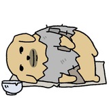 Telegram profile photo for Catalog