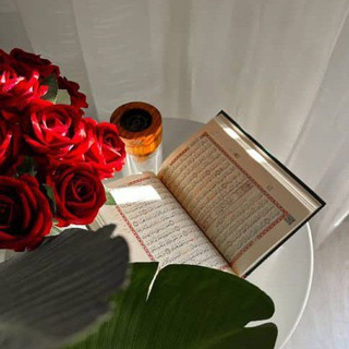 Telegram profile photo for "معلومات من القرآن"