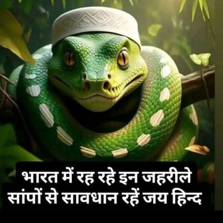 Telegram profile photo for हिन्दू राष्ट्र 2025 🚩(अखंड भारत)