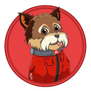 Telegram profile photo for KIMBO
