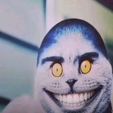 Telegram profile photo for Инфо крутой Тристан
