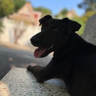 Telegram profile photo for НеStory