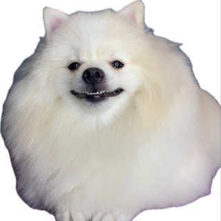 Telegram profile photo for Вещам нужен новый дом 🩷