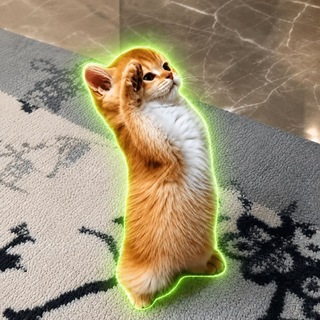 Telegram profile photo for salutecat_sol