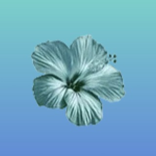 Telegram profile photo for продается/переход