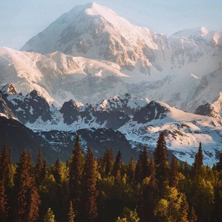 Telegram profile photo for Путешествия ❄️🎄