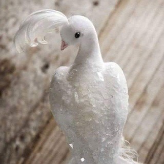 Telegram profile photo for خطوات نحو العفة 👥