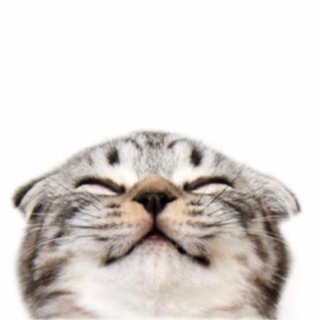 Telegram profile photo for янарко